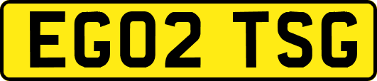 EG02TSG