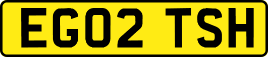 EG02TSH