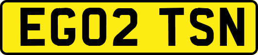 EG02TSN