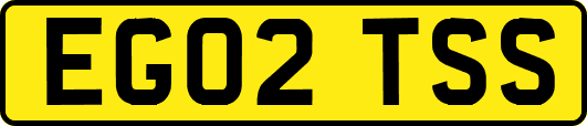 EG02TSS
