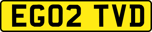 EG02TVD