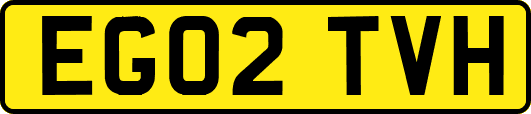 EG02TVH