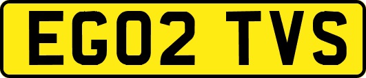 EG02TVS