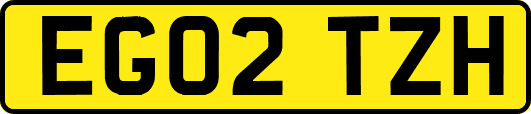 EG02TZH