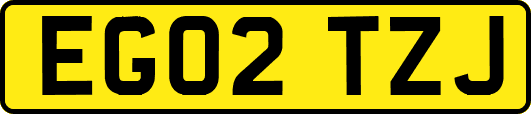 EG02TZJ