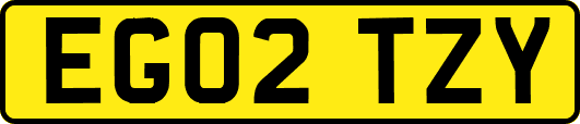 EG02TZY