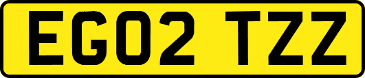 EG02TZZ