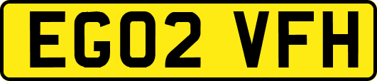 EG02VFH