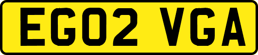 EG02VGA