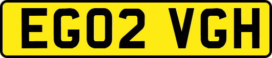 EG02VGH