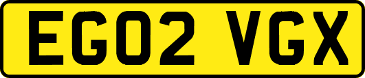 EG02VGX