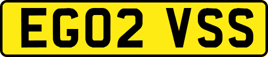 EG02VSS