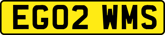 EG02WMS