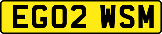 EG02WSM