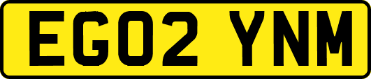 EG02YNM