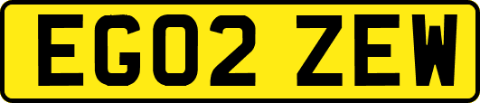 EG02ZEW