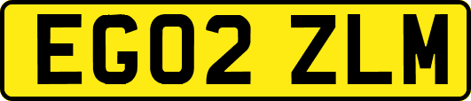 EG02ZLM