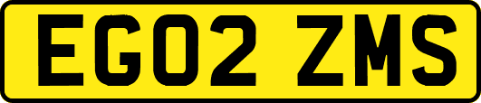 EG02ZMS