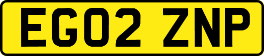 EG02ZNP