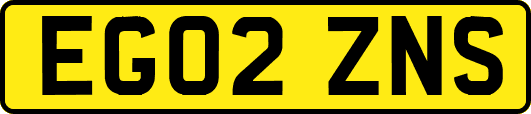 EG02ZNS