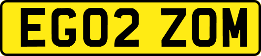 EG02ZOM