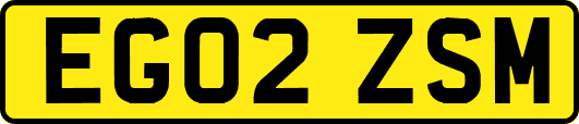 EG02ZSM
