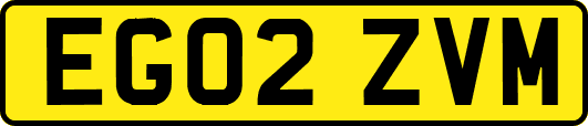 EG02ZVM