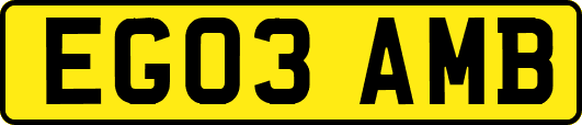 EG03AMB