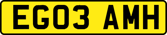 EG03AMH