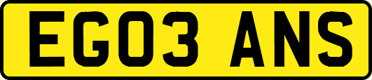 EG03ANS