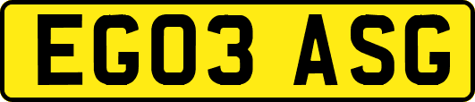 EG03ASG