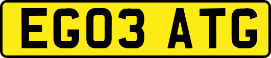 EG03ATG