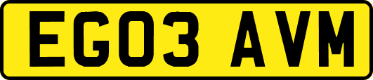 EG03AVM