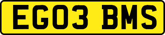 EG03BMS