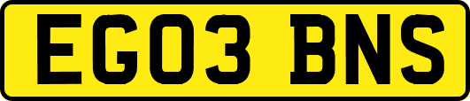 EG03BNS