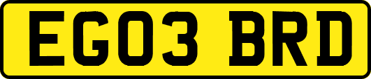 EG03BRD