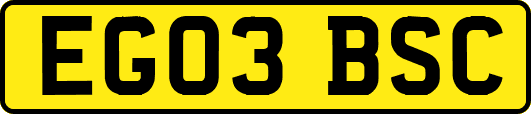 EG03BSC