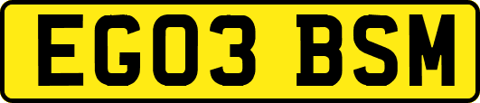 EG03BSM