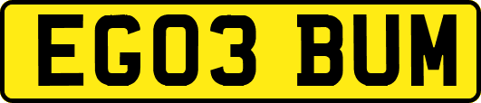 EG03BUM
