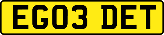 EG03DET