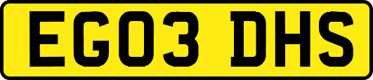 EG03DHS