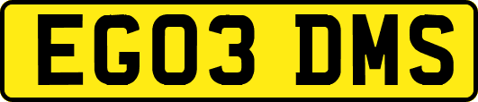 EG03DMS