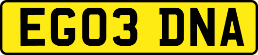EG03DNA