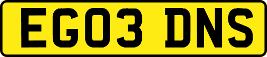 EG03DNS