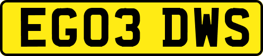 EG03DWS