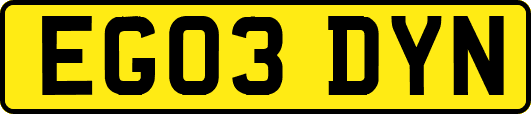 EG03DYN