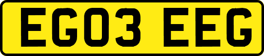 EG03EEG