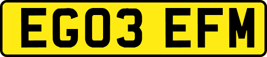 EG03EFM