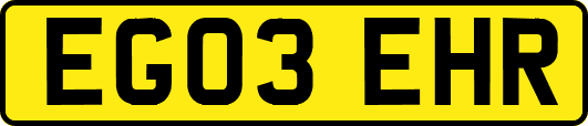 EG03EHR
