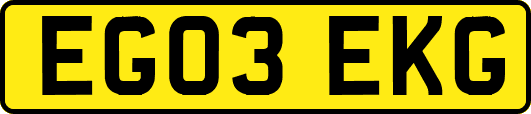 EG03EKG